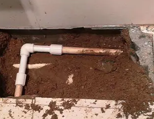 象山测漏水哪家好